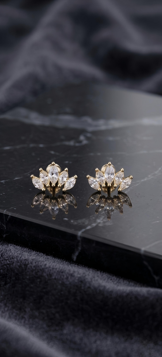 The Sartaaj Earrings (Stainless Steel 316L Cubic Zirconia Diamond Earrings)