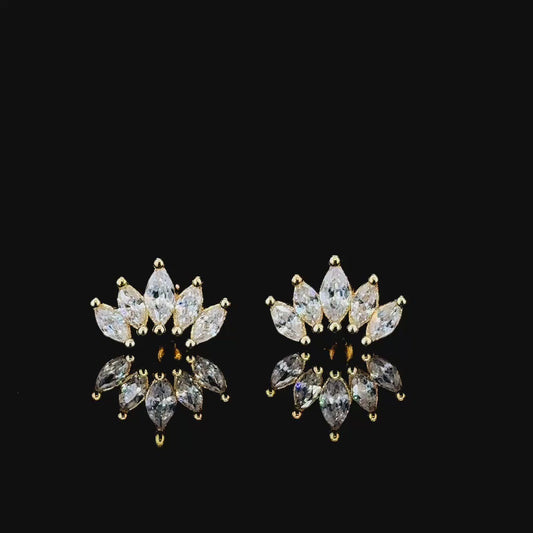The Sartaaj Earrings (Stainless Steel 316L Cubic Zirconia Diamond Earrings)