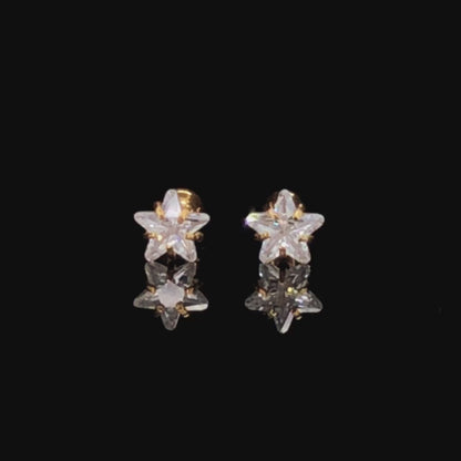 5mm Star Earrings Small Size (Stainless Steel 316L Cubic Zirconia Diamond Unisex Earrings)